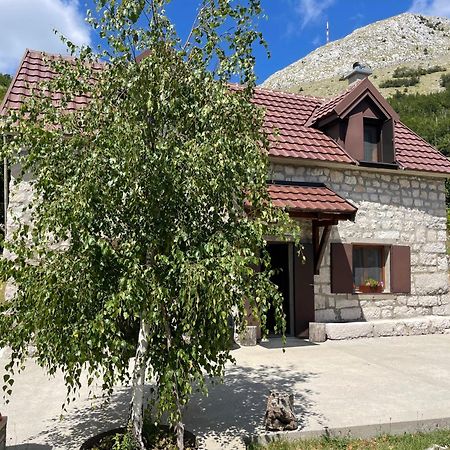 Lovcen Holiday Home Cetinje Buitenkant foto