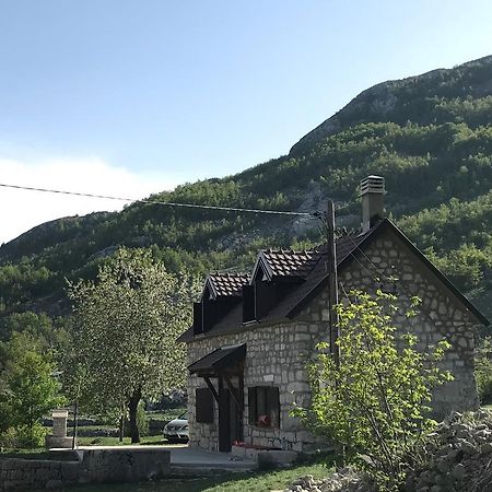 Lovcen Holiday Home Cetinje Buitenkant foto